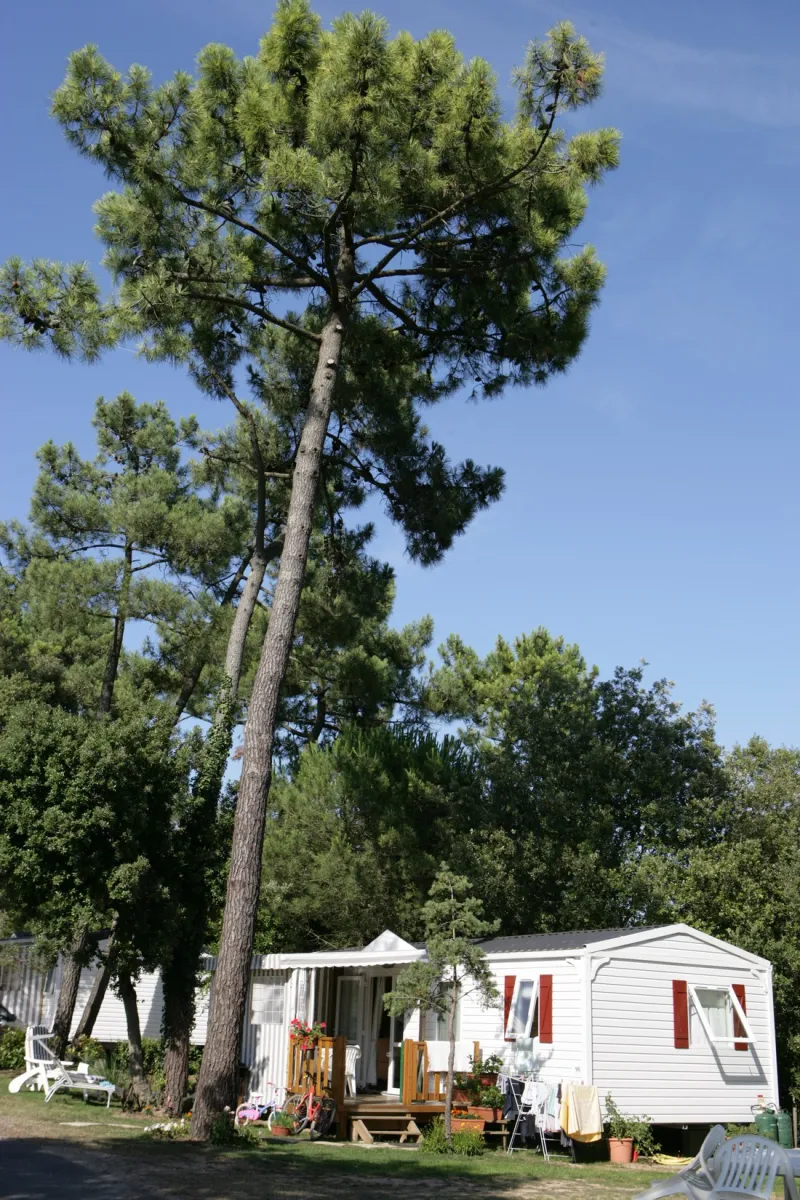 siblu-le-bois-dormant-st-jean-de-monts-vendee-6cqox