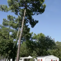 siblu-le-bois-dormant-st-jean-de-monts-vendee-6cqox