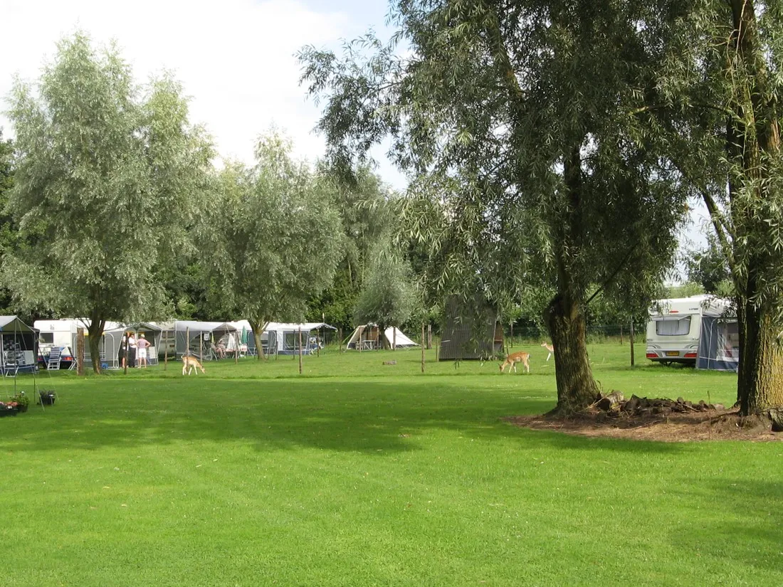 dn-eykelenbosch-melderslo-pwcbs