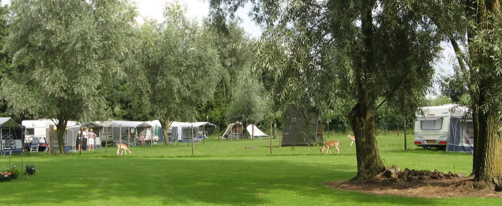 D'n Eykelenbosch