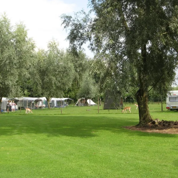 dn-eykelenbosch-melderslo-spr00