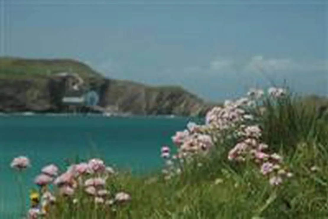 mother-iveys-bay-caravan-park-padstow-npr0s
