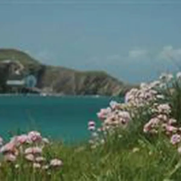 mother-iveys-bay-caravan-park-padstow-npr0s