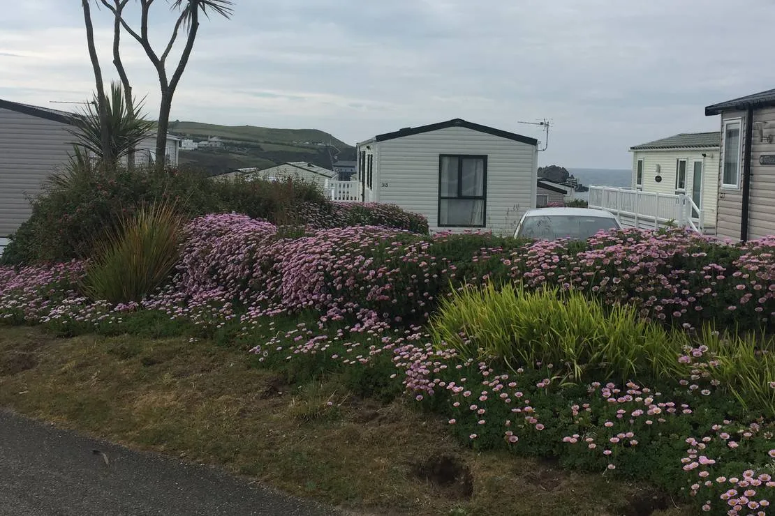 mother-iveys-bay-caravan-park-padstow-ogqlf