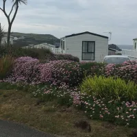 mother-iveys-bay-caravan-park-padstow-ogqlf