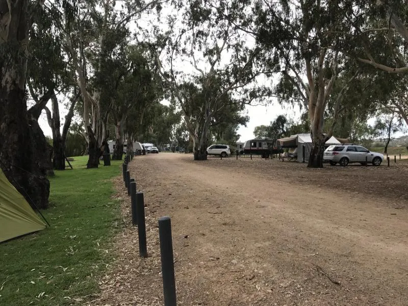 mannum-campground-vw13e