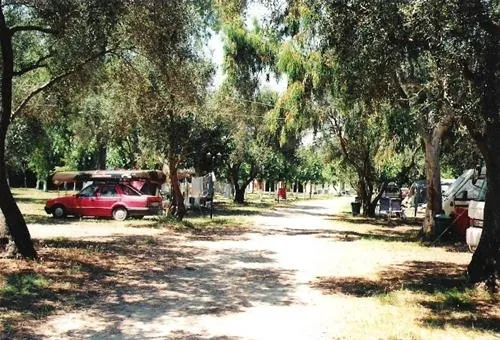roda-roda-wlqfm