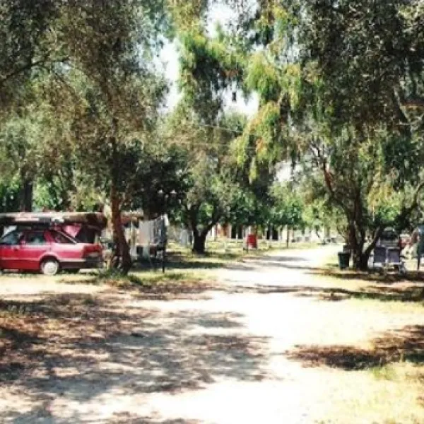 roda-roda-wlqfm