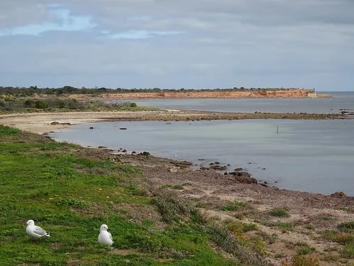 wallaroo-overnight-camping-area-campground-mount-palmer-v5jqs