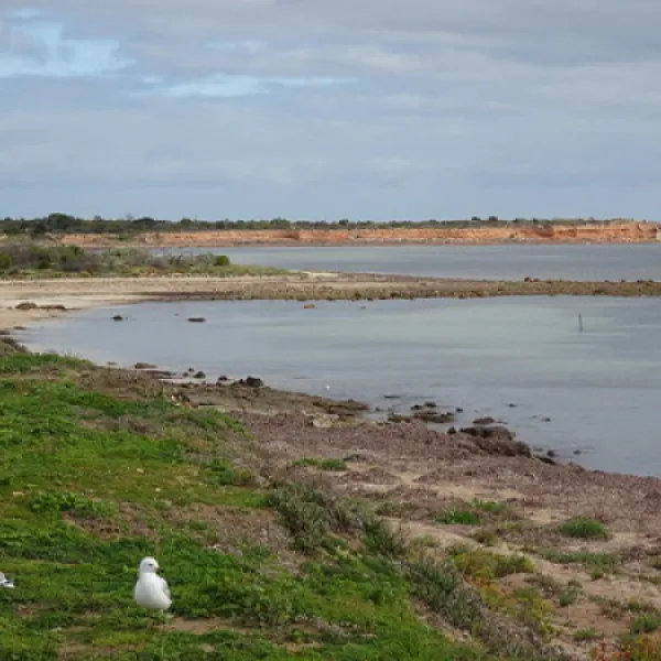 Wallaroo Overnight Camping Area Campground