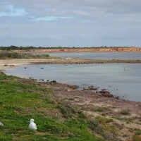 wallaroo-overnight-camping-area-campground-mount-palmer-v5jqs