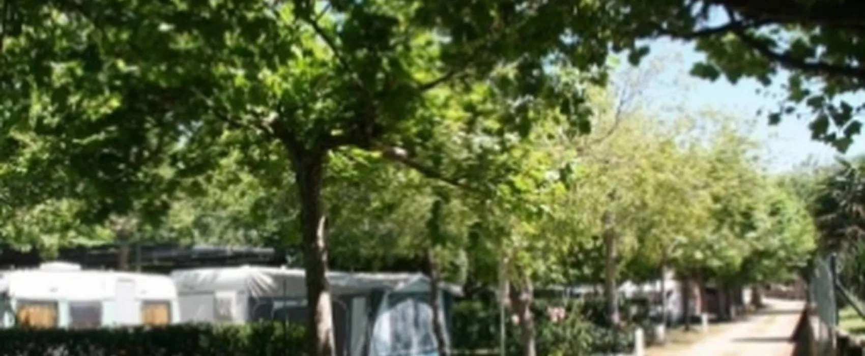 Camping las Cañadas