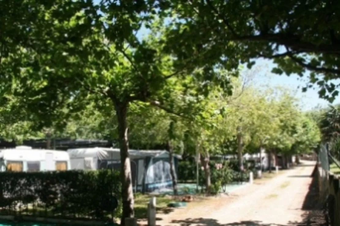 camping-las-canadas-banos-de-montemayor-6btxp