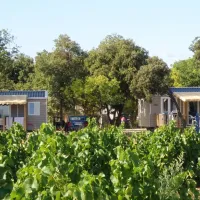le-garrigon-grillon-t916q