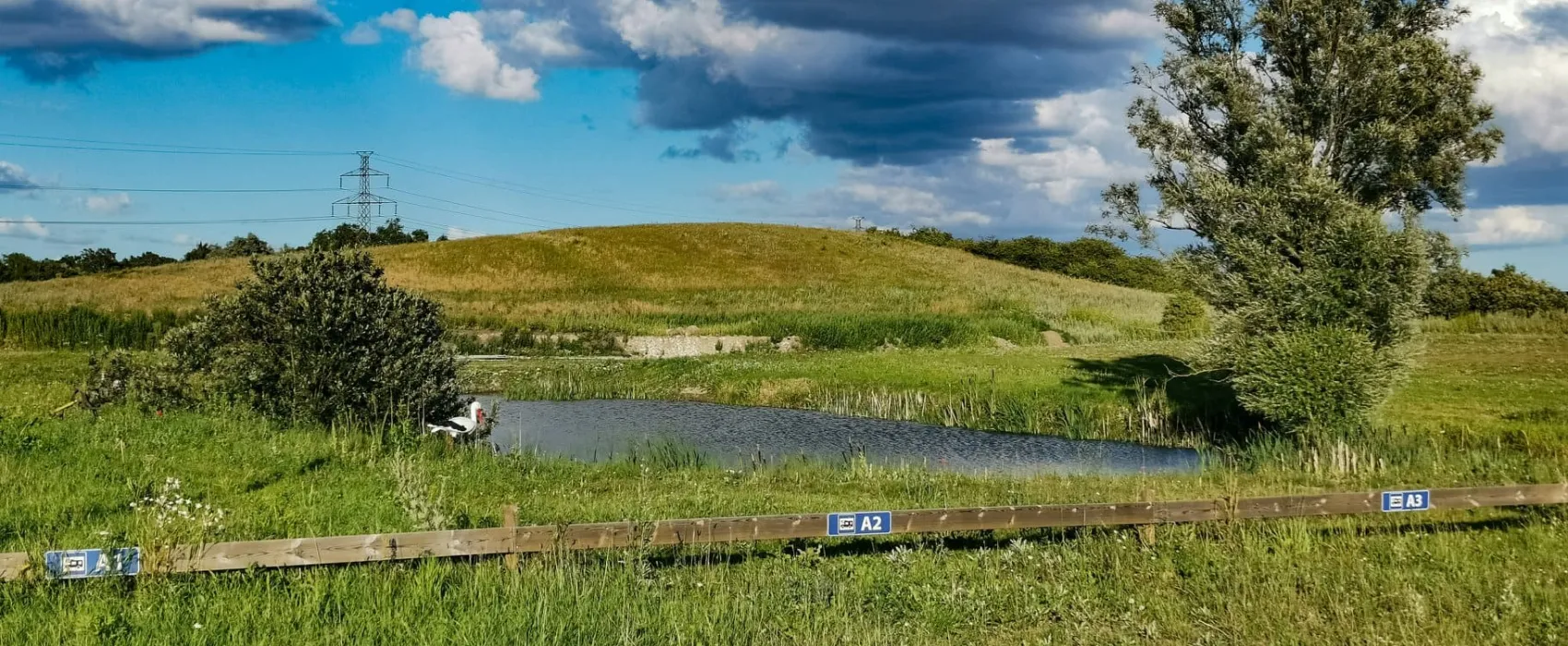 Arrie Ställplats