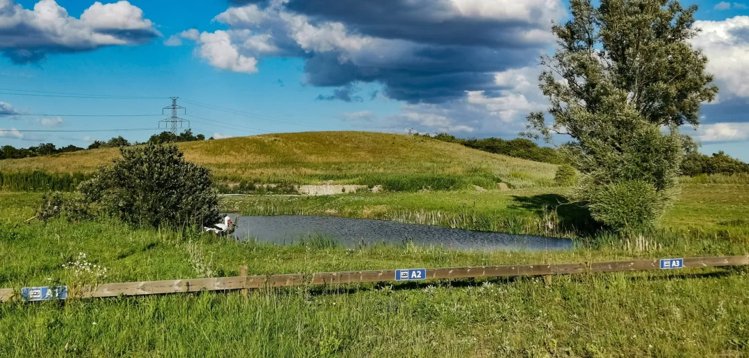 arrie-stallplats-vellinge-bjiuj