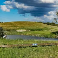 arrie-stallplats-vellinge-bjiuj