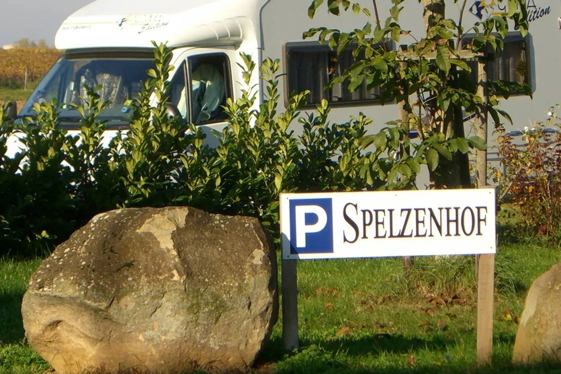 spelzenhof-altdorf-tvsed
