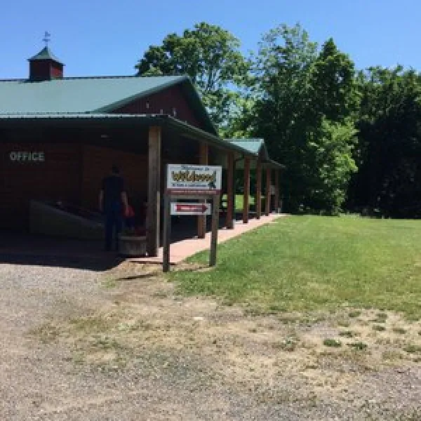 wildwood-campground-shafer-ivnvt