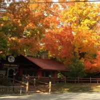 Yogi Bear's Jellystone Park Camp Resort - Door County