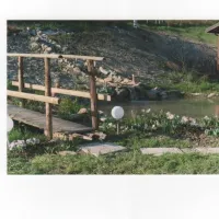 larca-di-noe-agricamp-gombola-di-polinago-imhgx