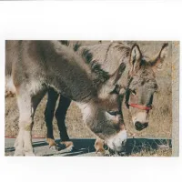 larca-di-noe-agricamp-gombola-di-polinago-y6b6m