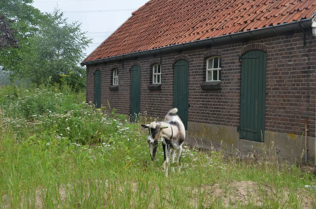 kampeerboerderij-de-baankreis-almen-nsotp