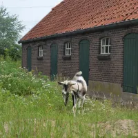 kampeerboerderij-de-baankreis-almen-nsotp