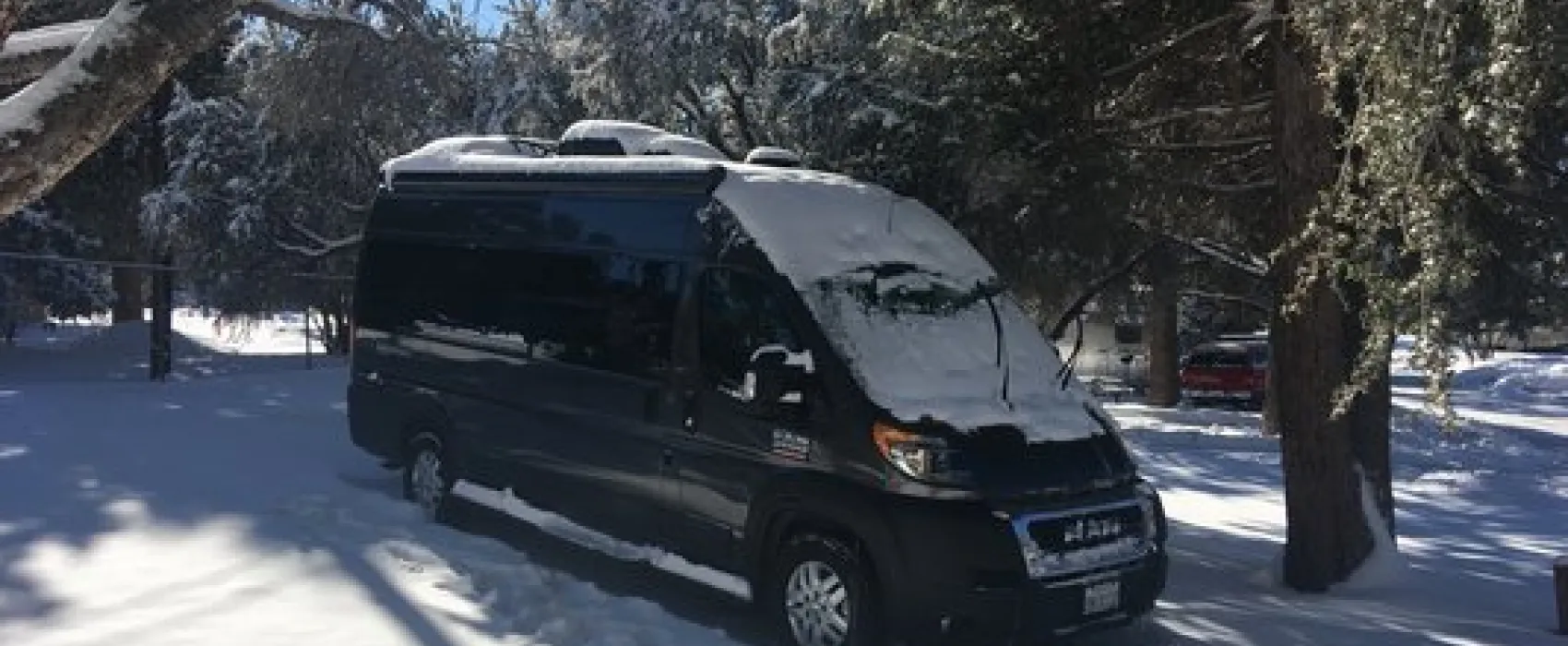 Pine Tree RV Park
