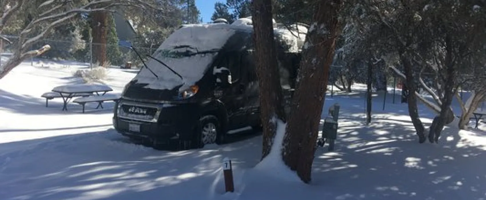 Pine Tree RV Park