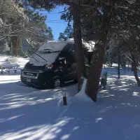 pine-tree-rv-park-big-bear-lake-s41vd