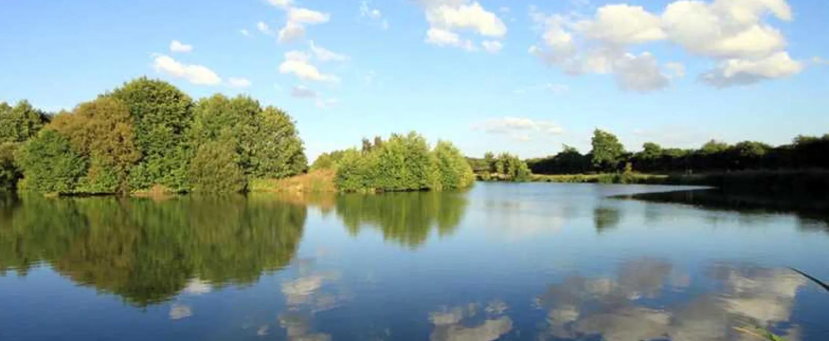 Brook Meadow