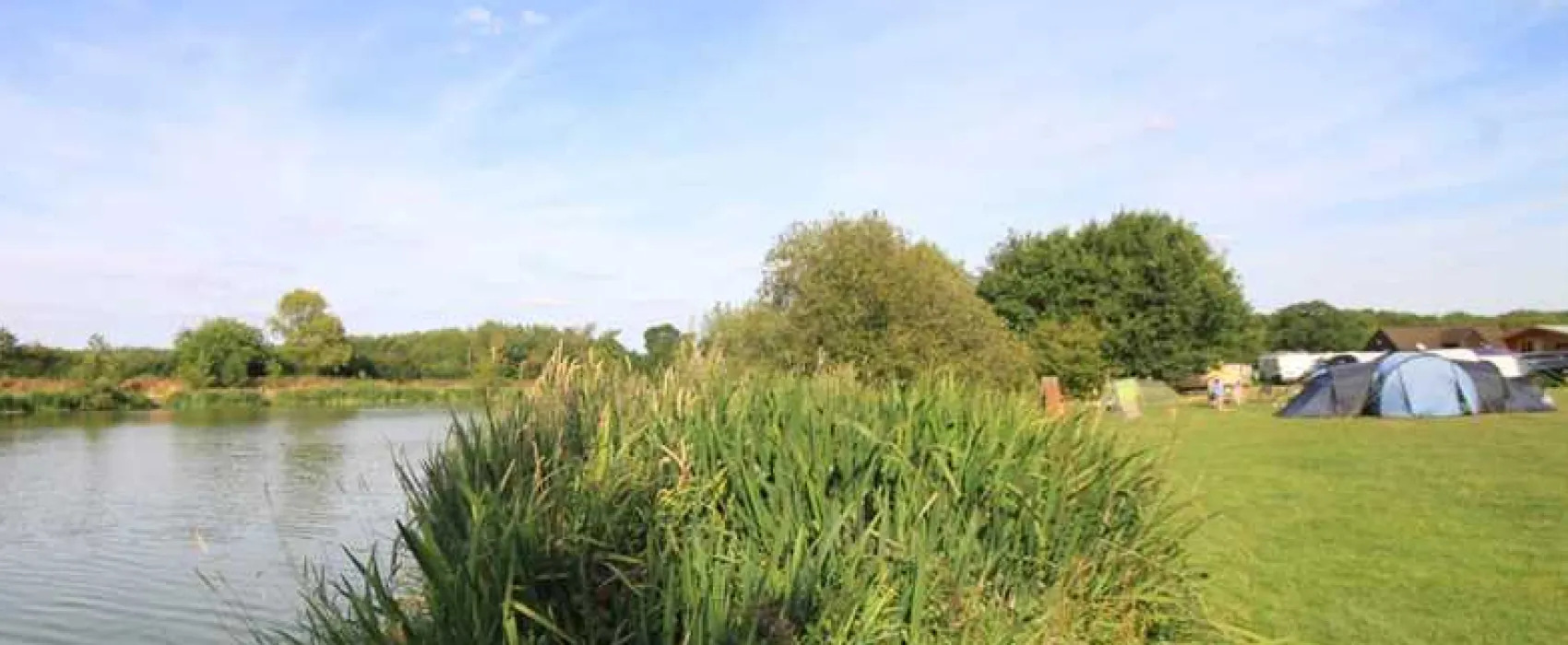 Brook Meadow