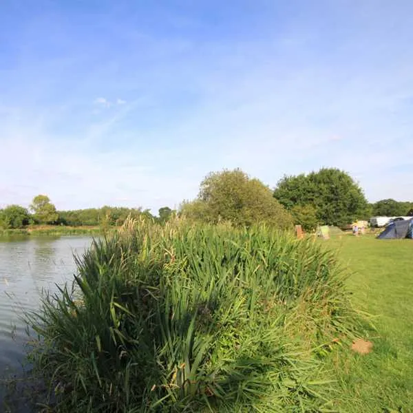 brook-meadow-sibbertoft-x1n6o