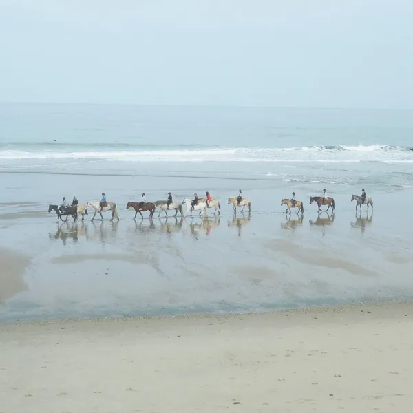 les-sables-dargent-soulac-sur-mer-gironde-fxsqp