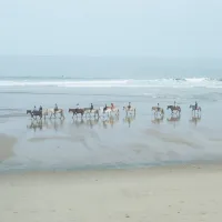 les-sables-dargent-soulac-sur-mer-gironde-fxsqp