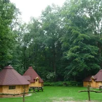 t-walfort-aalten-cwju6