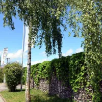seencamping-krauchenwies-krauchenwies-ffkbz