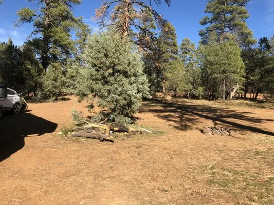 forest-road-226-dispersed-camping-munds-park-ho5cw