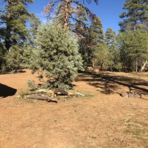 forest-road-226-dispersed-camping-munds-park-ho5cw