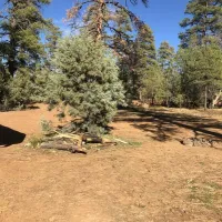 forest-road-226-dispersed-camping-munds-park-ho5cw