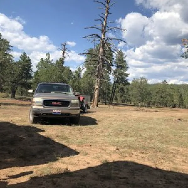forest-road-226-dispersed-camping-munds-park-mpxi0
