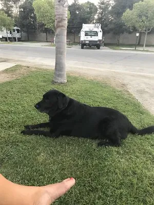 bakersfield-rv-resort-bakersfield-fzowi