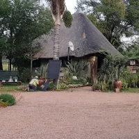 grootgeluk-bush-camp-farm-brak-350-off-1st-street-mpxp3
