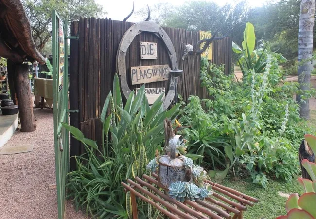 grootgeluk-bush-camp-farm-brak-350-off-1st-street-yf1tm