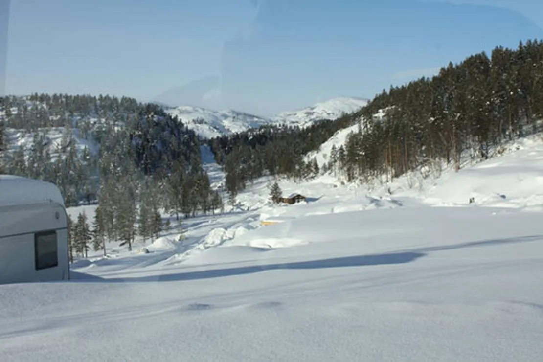 bortelid-camping-aseral-cmimb