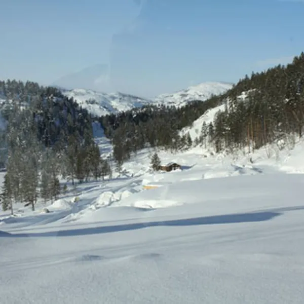 bortelid-camping-aseral-cmimb