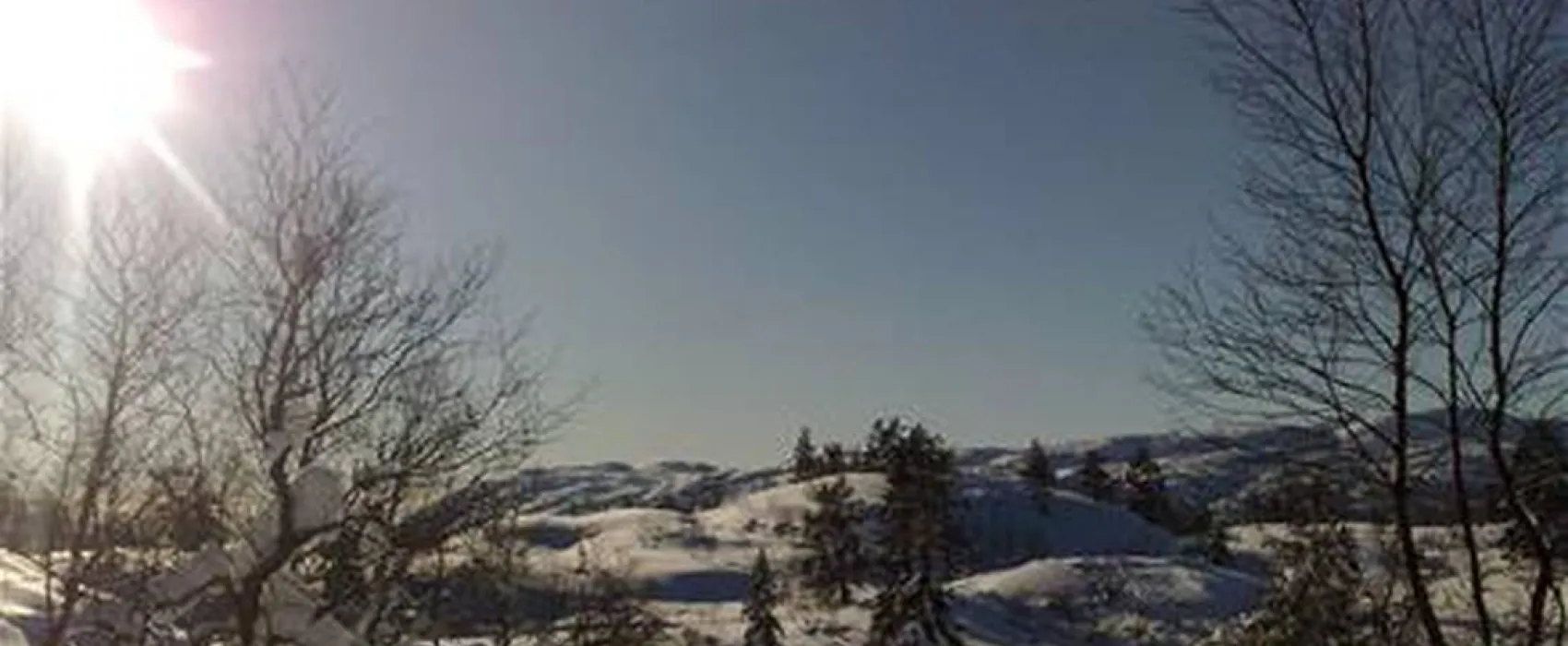 Bortelid Camping