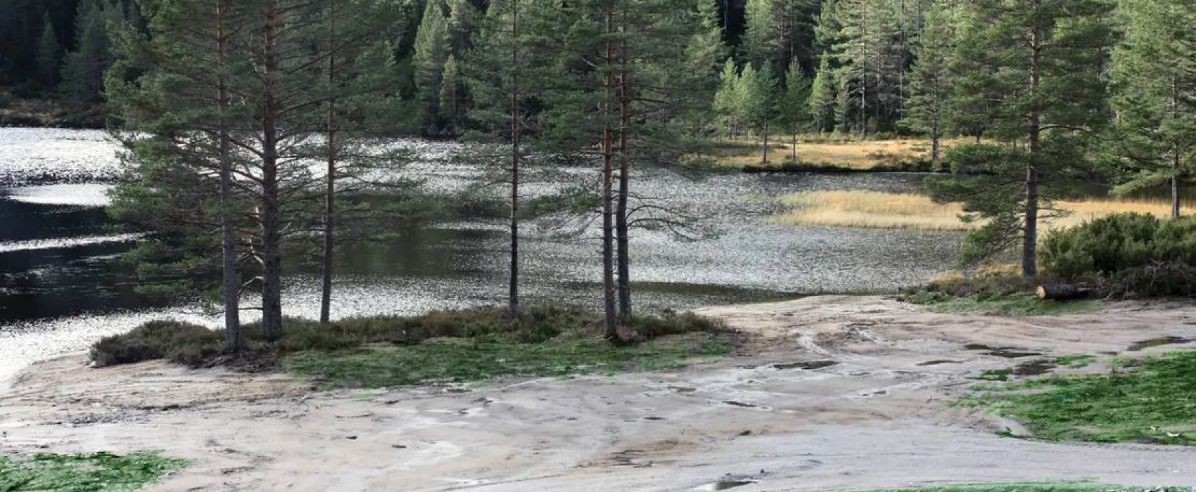 Bortelid Camping