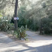 Montmeuille